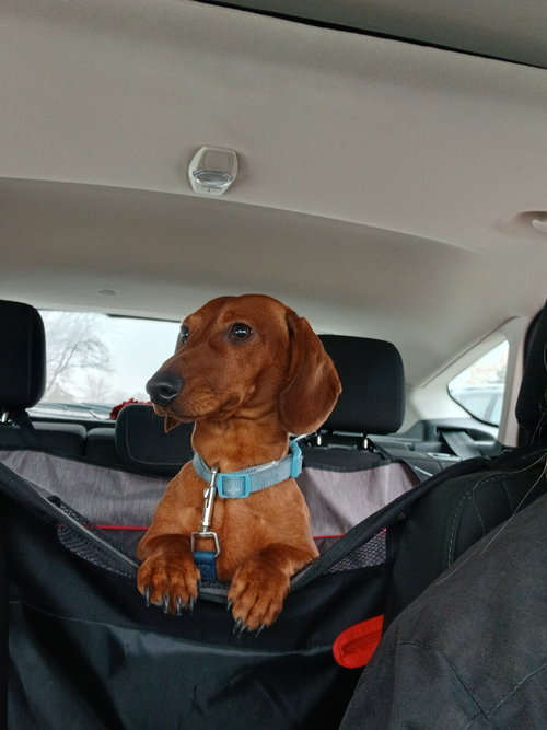 Franklin