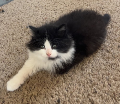 Tina