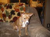 Buster