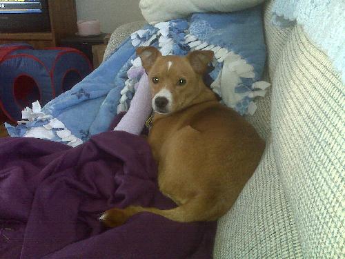 Buster