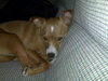 Buster