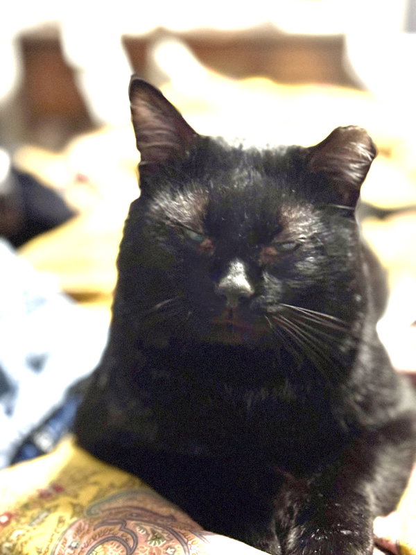 Victor
