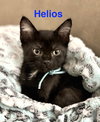Helios