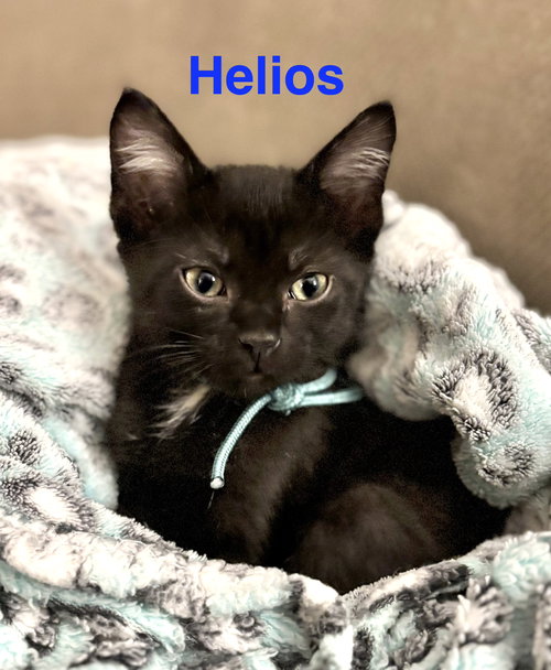 Helios
