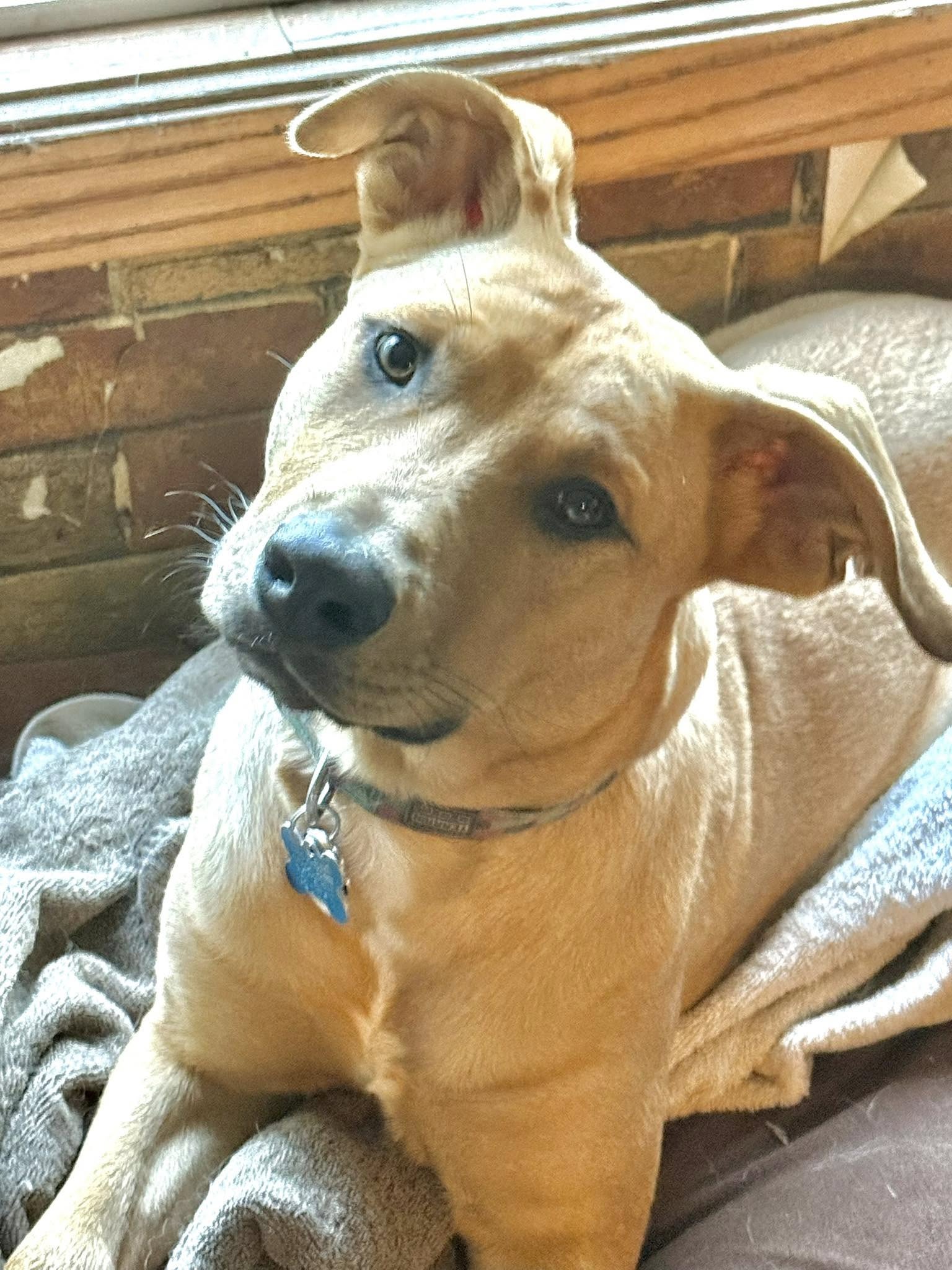 Cooper Image