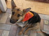 Mishka