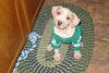 Grover