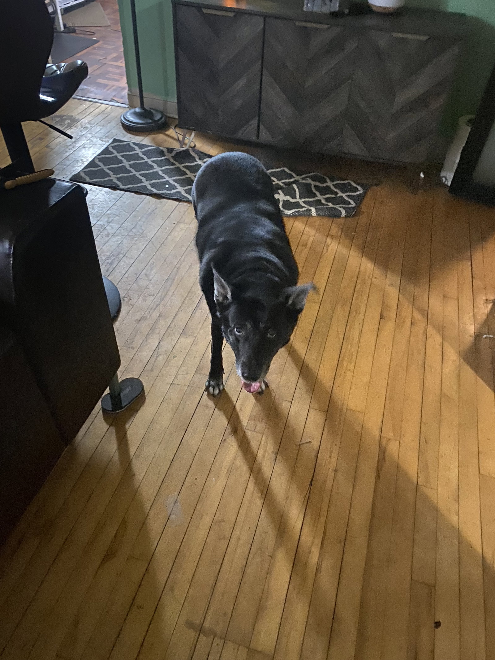 Luna