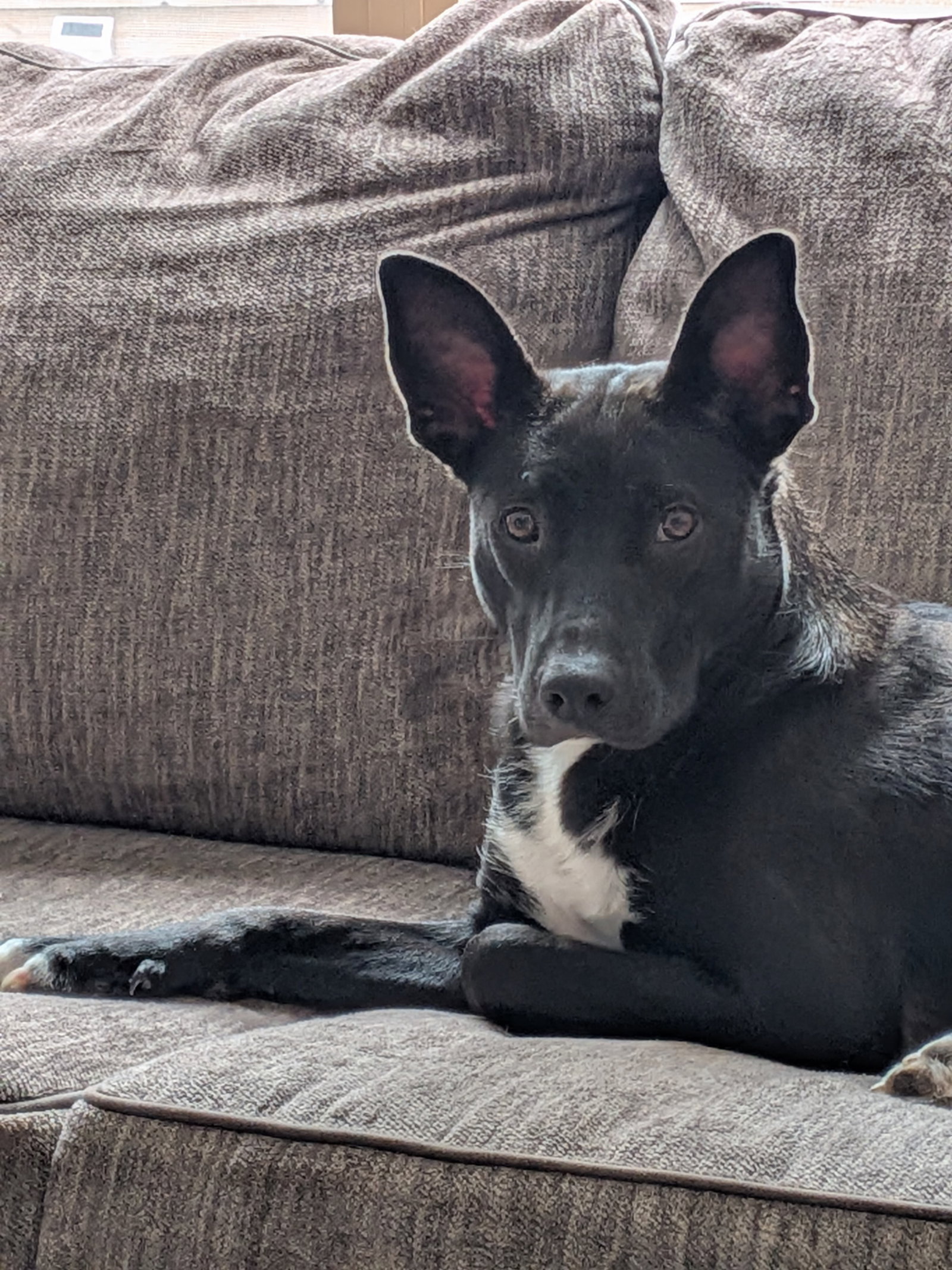 Luna May Image