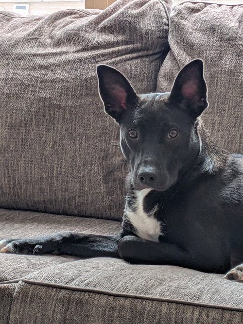 Luna May