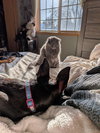 Luna May