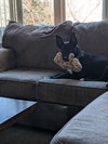 Luna May