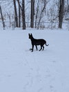 Luna May