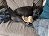 Luna May