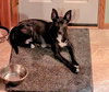 Luna May