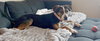 Romeo