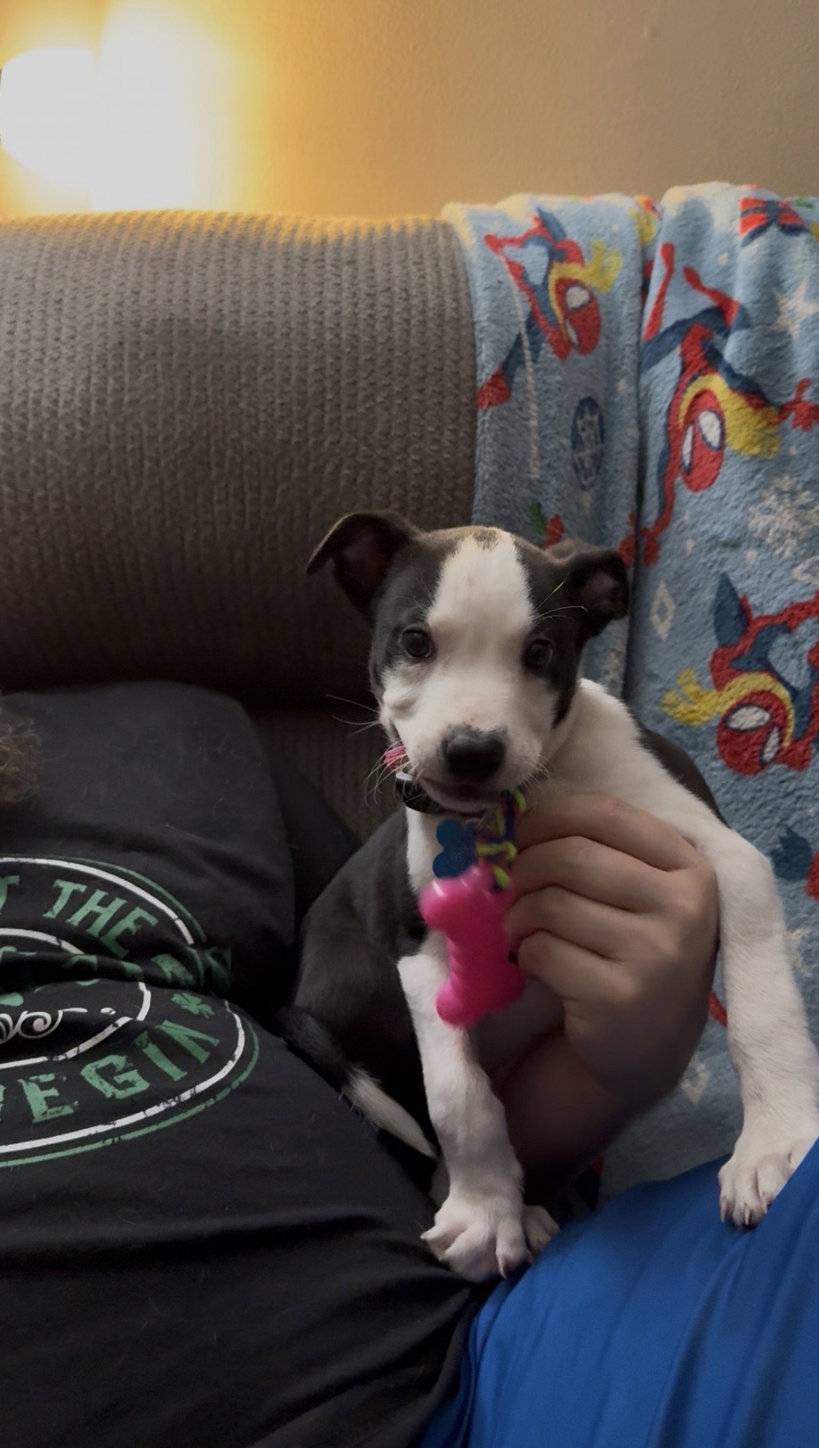 Thumbnail