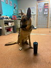 Axel