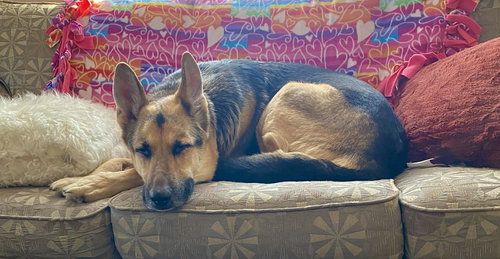 Axel