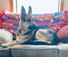 Axel