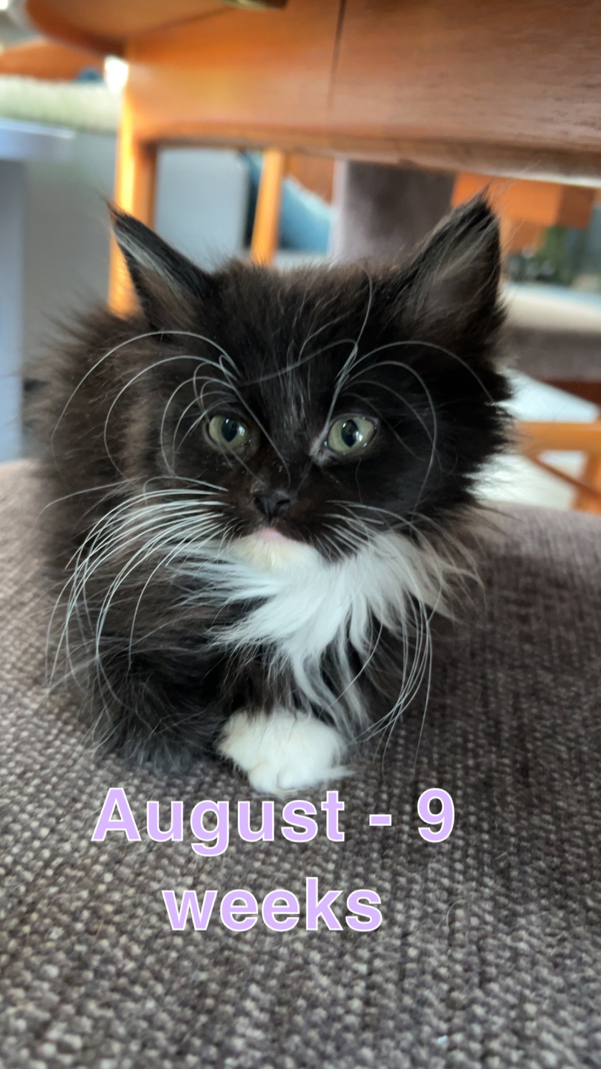 August Image