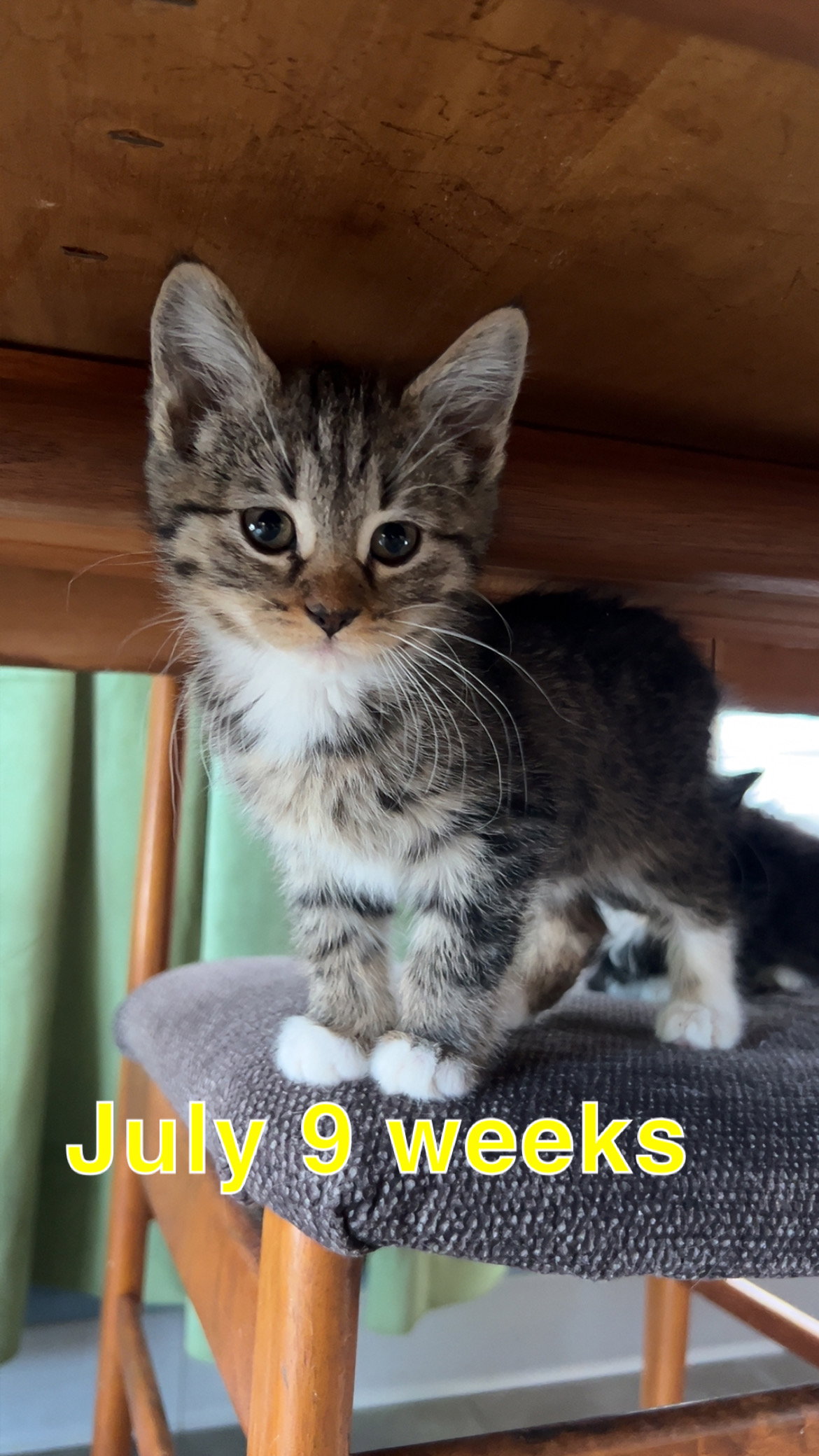 July Image
