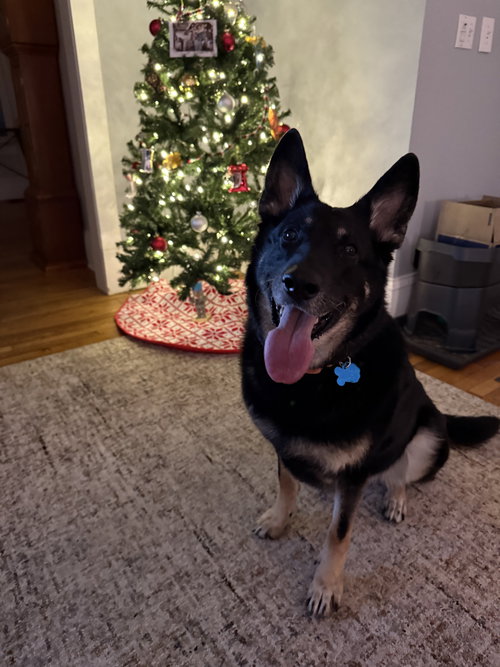Jaya — thumbnail 4