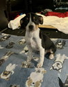 Matilda