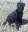 Billy Jo