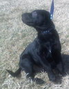 Billy Jo