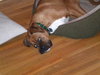 Charlie