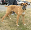 Duke
