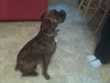 Margo