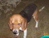 Gunther