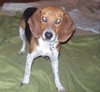 Gunther