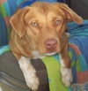 Marlo