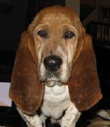 Milton