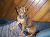 Annie