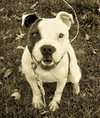 Lola