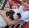 Lola