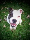 Lola