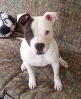Lola