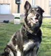 Kodi