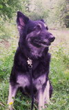 Kodi