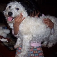 Otey04