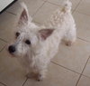 Otey04