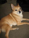 Fritz