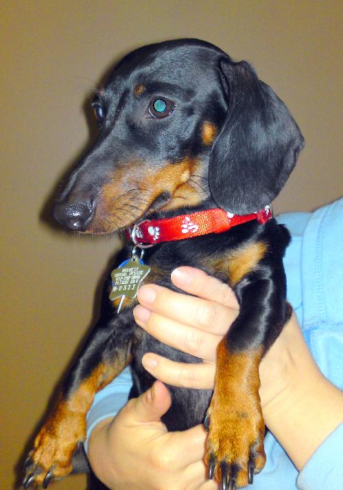 Bently