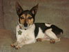 Barty