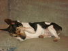 Barty